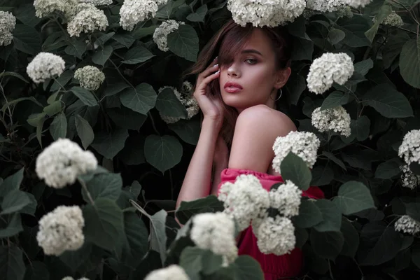 Vacker Ung Kvinna Modell Rosa Klänning Buske Med Blommor Parken — Stockfoto