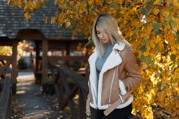 漂亮的年轻女子金发碧眼的一件轻便的时尚夹克和时尚灰色毛衣站在一个公园里 向下看着附近的黄色金色秋叶的背景 女孩户外秋日 — 图库照片
