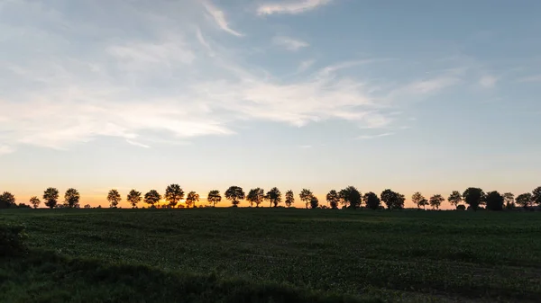 Tramonto in un campo con erba con cielo nuvoloso e con alberi all'orizzonte. Bellissimo tramonto estivo arancio-rosa. Paesaggio . — Foto Stock