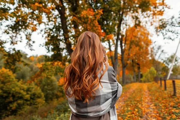 Модная молодая женщина в стильной осенней одежде наслаждается осенним пейзажем в парке. В лесу стоит элегантная девушка-модель в модном пальто в вязаном винтажном шарфе. Вид сзади . — стоковое фото