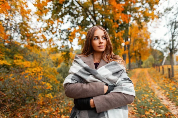 ヨーロッパの若い女性がエレガントなコートで暖かいニットスカーフで街の外の秋の森の散歩を楽しんでいます。ファッショナブルなアウターでスタイリッシュなかわいい女の子のファッションモデルは公園で休息を楽しんでいます — ストック写真