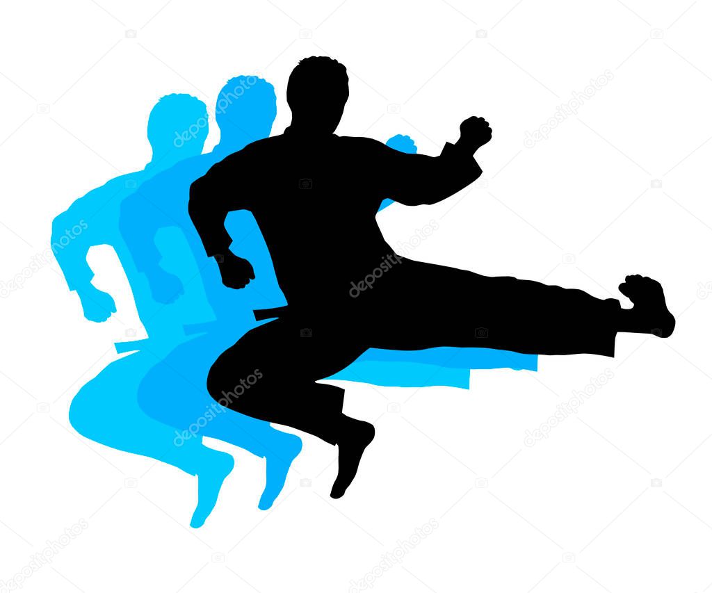 Martial arts graphic in vector quality