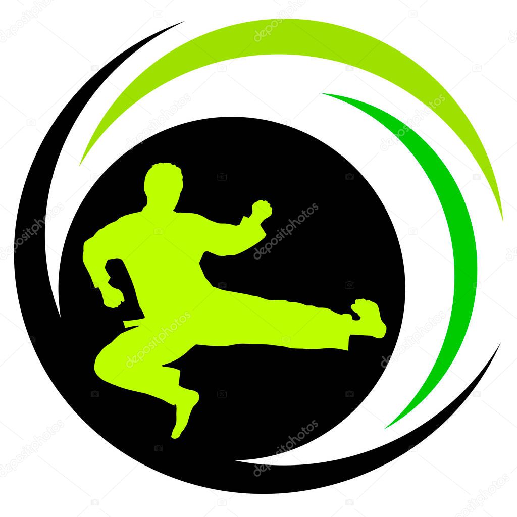 Martial arts graphic in vector quality