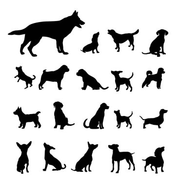 Vektör kalitesi köpek olan hayvan grafiği