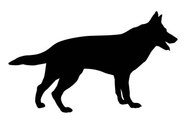 Vektör kalitesi köpek olan hayvan grafiği