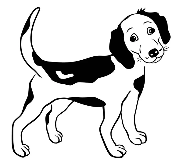 Djurgrafik Med Hund Vektorkvalitet — Stock vektor