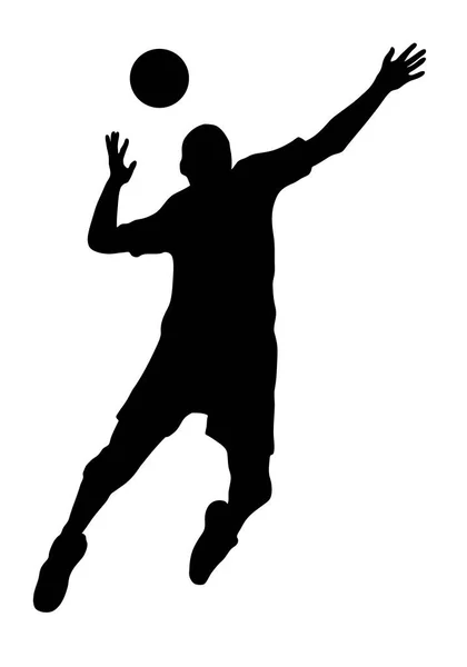 Gráfico Deportivo Voleibol Calidad Vectorial — Vector de stock