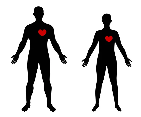 Cardiologia Saúde Gráfica Qualidade Vetorial —  Vetores de Stock