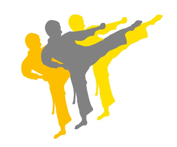 Karate Gráfico Combate Calidad Vectorial — Vector de stock