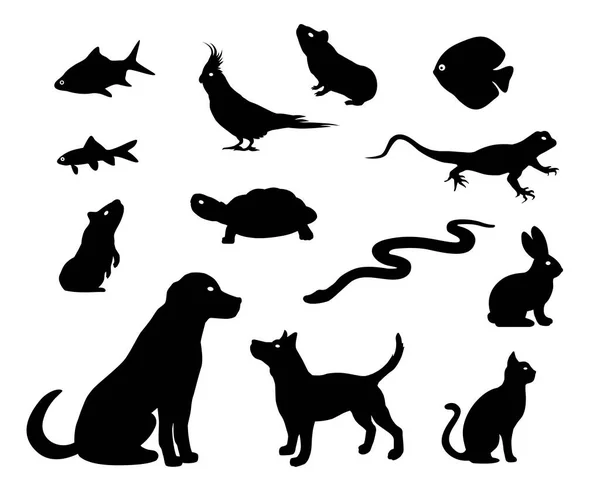 Vektör Kalitesinde Hayvan Koleksiyonu Grafiği — Stok Vektör