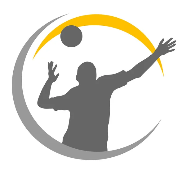 Volleyboll Sport Grafik Vektor Kvalitet — Stock vektor