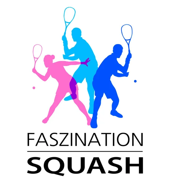 Squash Gráfico Deportivo Calidad Vectorial — Vector de stock