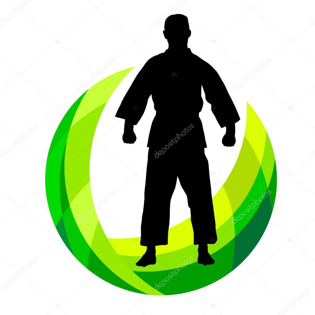 Martial arts graphic in vector quality