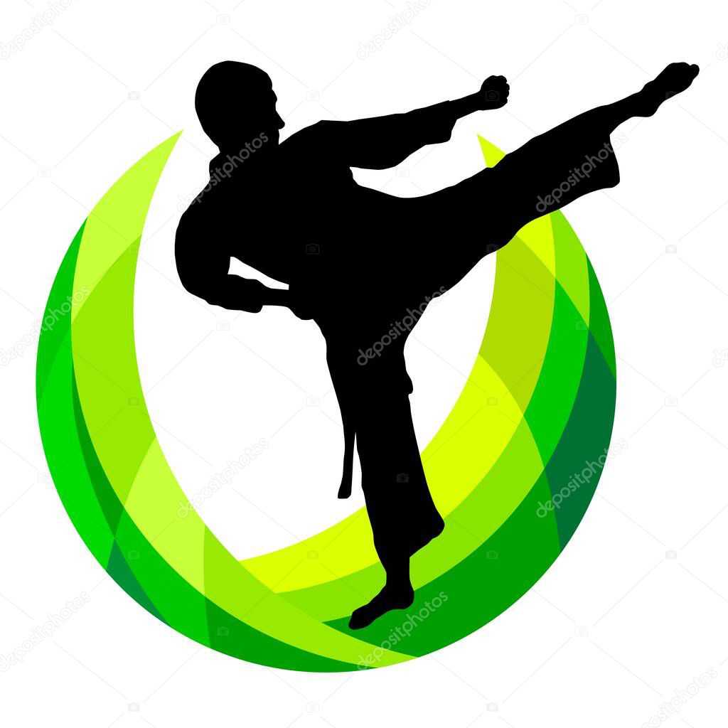 Martial arts graphic in vector quality