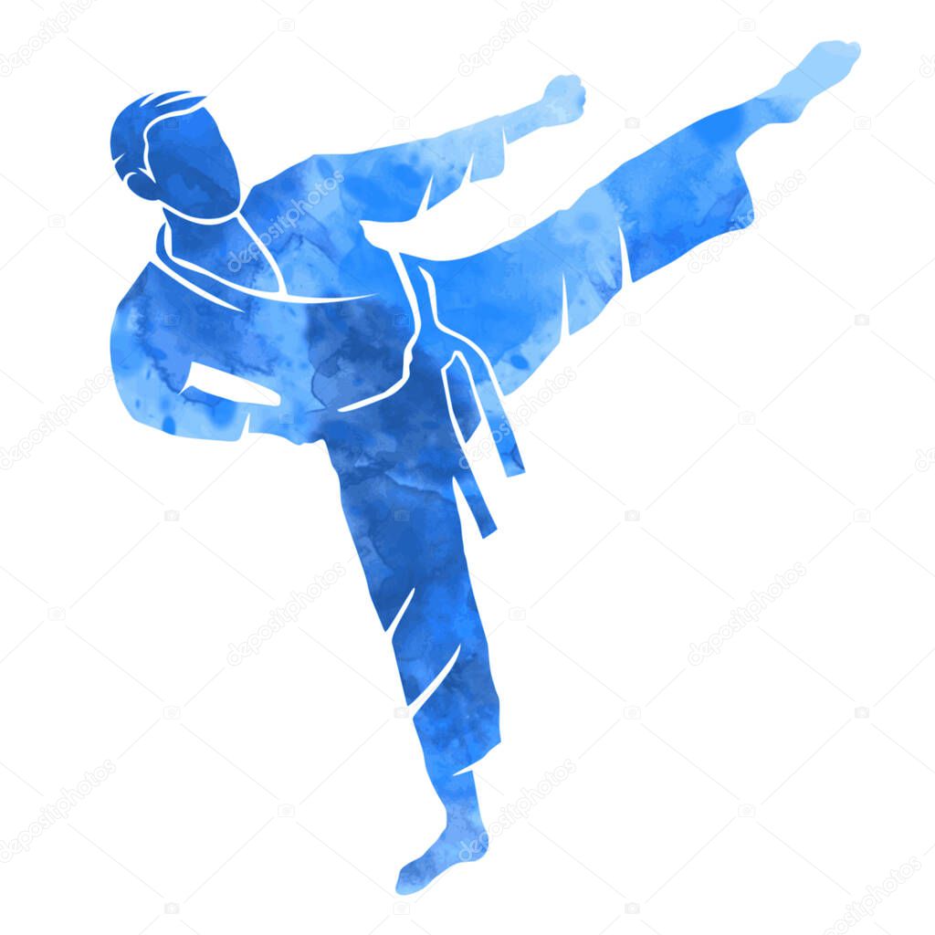 Martial art vector graphic.