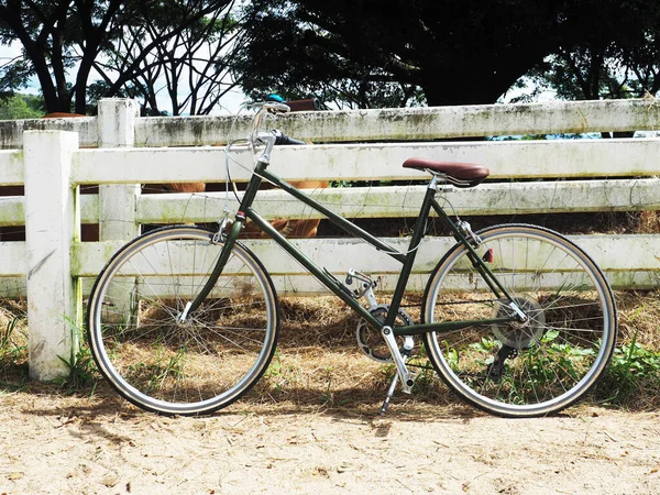 Vintage Aparcamiento Bicicletas Lado Del Campo Vaca Fram Bodega Parque — Foto de Stock