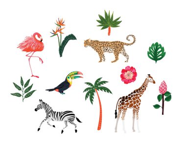 Tropikal bitki, hayvan ve kuşların vektör kümesi