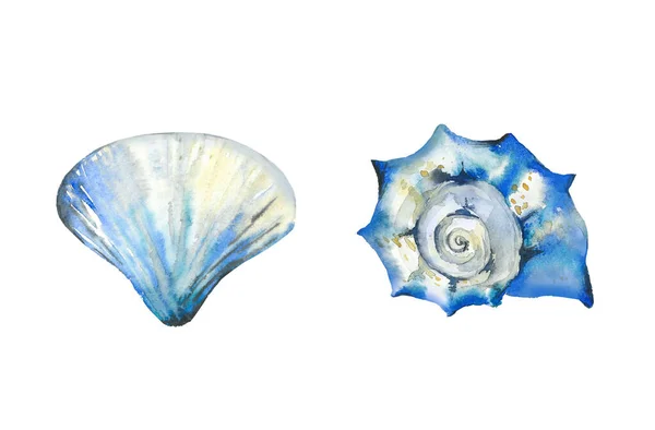 Abstract blue seashell set. Ocean creatures collection. Watercolour illustration isolated on white background. — Stock Photo, Image