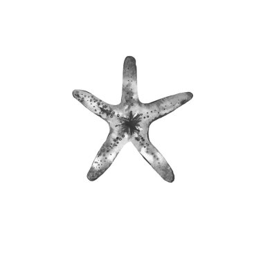 Suluboya gri denizyıldızı. Okyanus yaratığı. Deniz tarzı davetiye, çanta, yastık, tekstil, kart, kartpostal için tasarım. Resimler beyaz arkaplanda izole edildi.