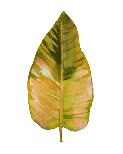 Złoty liść drzewa. Jesień sztuka.. Akwarela ilustracja izolowana na białym tle. — Zdjęcie stockowe