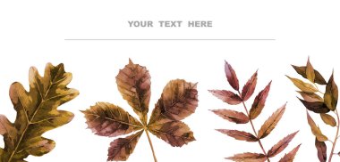 Sonbahar yatay sınırı. Rowan ve meşe yaprağı. Desen, baskı, geçmiş, kart, pankart tasarımı için arka plan. Suluboya çizimi beyaz arkaplanda izole edildi.