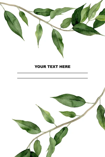 Green ficus branches frame. Watercolour plant design for a greeting, wedding invitation, postcard, card, notebook. Painted background with empty space in the middle. Botanical Illustration on white. — Stock Image Green ficus branches frame. Watercolour plant design for a greeting, wedding invitation, postcard, card, notebook. Painted background with empty space in the middle. Botanical Illustration on white. Stock Image