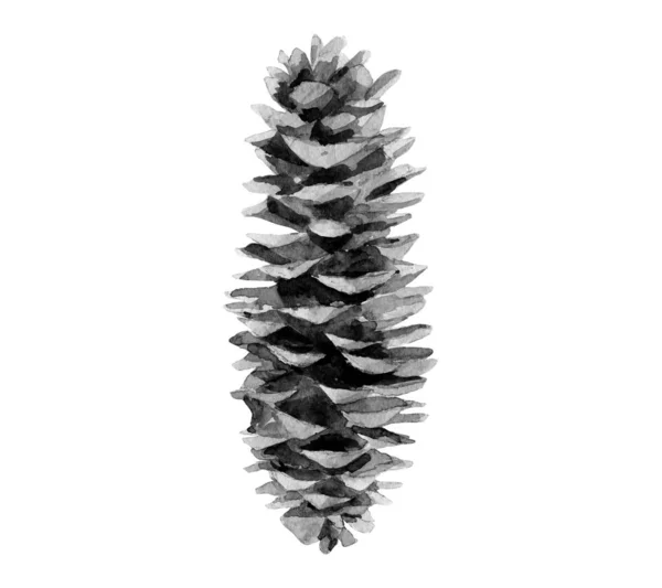 Watercolour image of fir cone. Minimalist detail for winter holiday card, post card, banners. Hand drawn realistic coniferous elements isolated on white background. — Stock Photo, Image