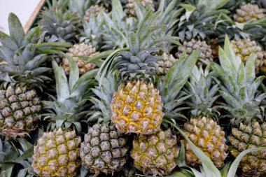 ananas Pazar arka planda