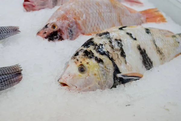 Red Tilapia Pesce Con Ghiaccio Nel Mercato — Foto Stock