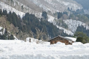 Shirakawago, Japonya tarihi kış Köyü.