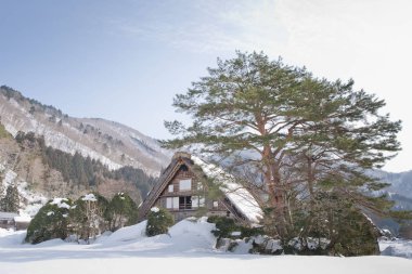 Shirakawago, Japonya tarihi kış Köyü.