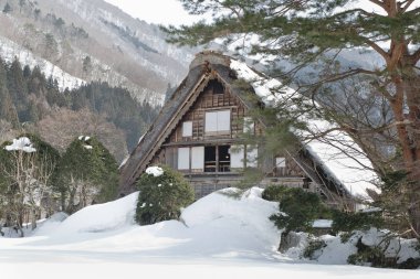 Shirakawago, Japonya tarihi kış Köyü.