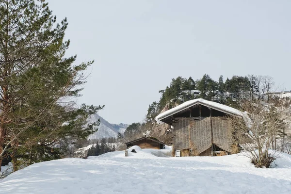 Shirakawago, Japonya tarihi kış Köyü.