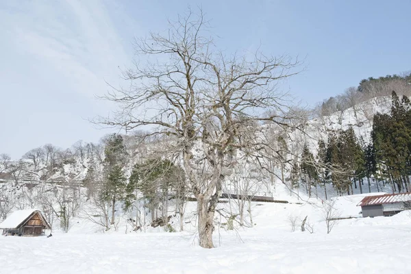 Ιστορικές Χειμερινό Χωριό Shirakawago Ιαπωνία — Φωτογραφία Αρχείου