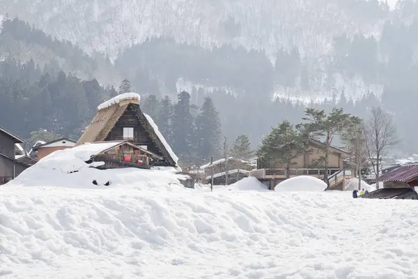 Shirakawago, Japonya tarihi kış Köyü.