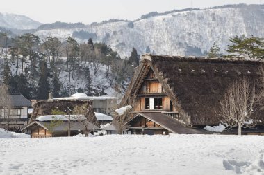 Shirakawago, Japonya tarihi kış Köyü.
