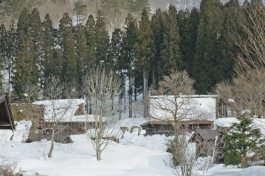 Shirakawago, Japonya tarihi kış Köyü.