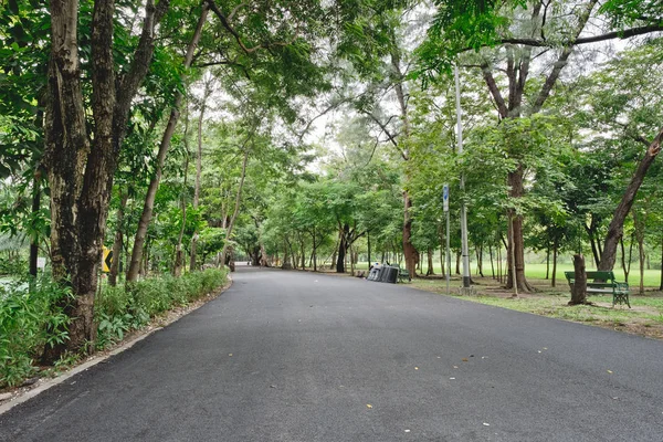 Yeşil ağaçlar ile yolları, Peyzaj Bahçe