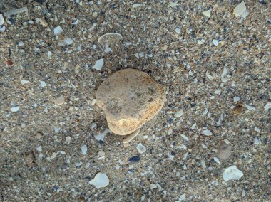 Çakıl taşı yuvarlak taş kumların üzerinde yatıyor.