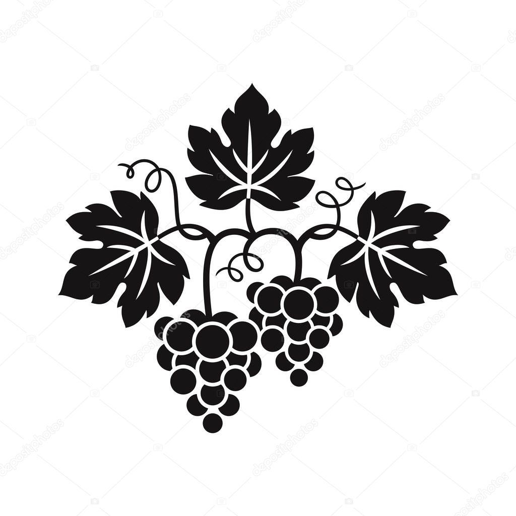 Grapes decorative pattern for wine design concept, bar menu, juice drinks, fruit juices, healthy vegan food, viticulture, wine or juice label, grape seed oil on a white background. Vector illustration.