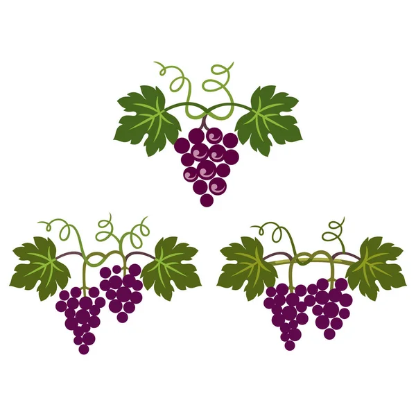 Patrón Decorativo Uvas Para Concepto Diseño Vino Menú Bar Bebidas Gráficos vectoriales