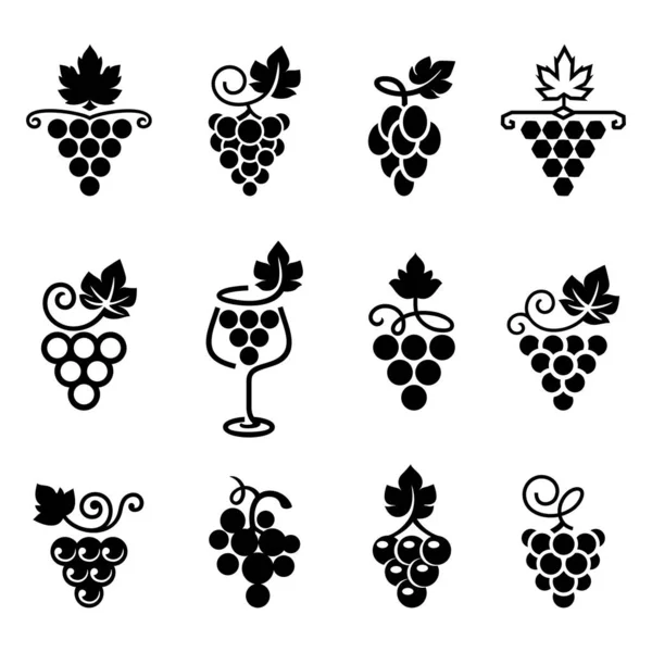 一串叶子 一串葡萄 风格简朴平整 葡萄标志 葡萄酒设计理念的图标 葡萄酒或果汁标签 葡萄籽油 有机葡萄酒 葡萄栽培 健康的素食 免版税图库插图