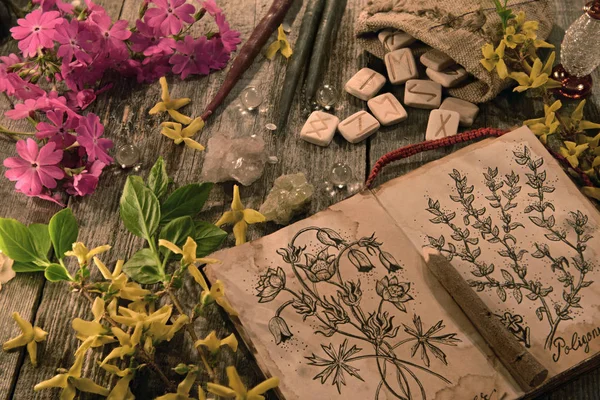Diary with drawings of magic and healing herbs, spring flowers and runes. Occult, esoteric and divination still life. Halloween background with vintage objects