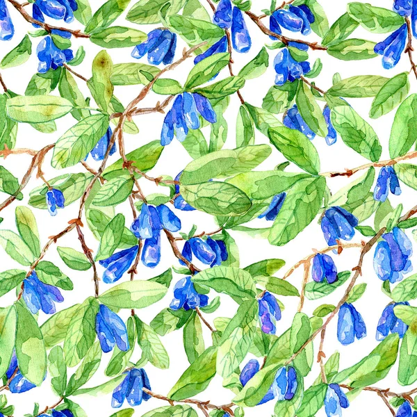Seamless background with ripe blue berries and green leaves on honeysuckle branches. Vintage nature concept, hand drawn botanical illustration with watercolor design elements