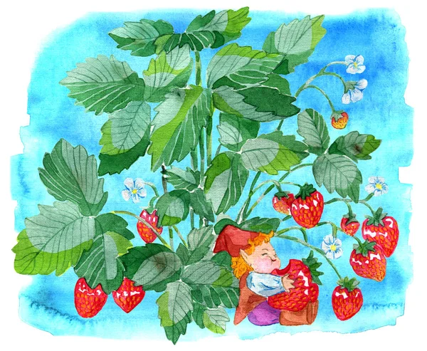 Funny little gnome eating strawberry on blue background. Watercolor cartoon doodle illustration, botanical and fantasy drawings for print, greeting cards, poster, invitations