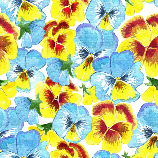 Seamless pattern with beautiful yellow and blue pansy flowers on white. Watercolor illustration with summer season background, botanical drawings for print, fabric, textile