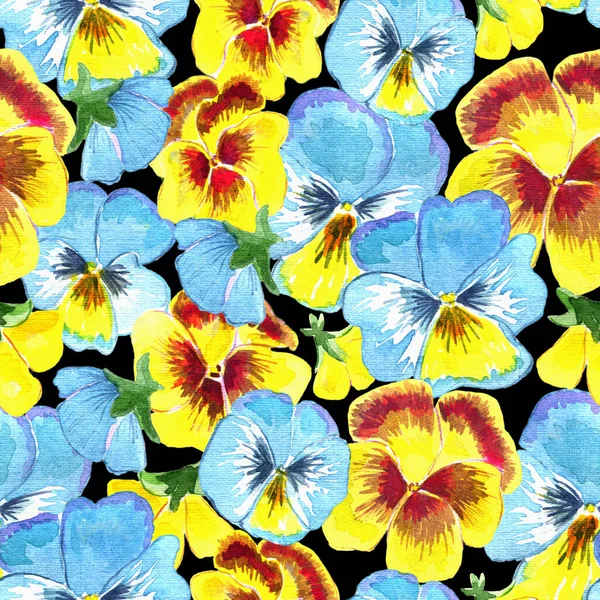Seamless pattern with beautiful yellow and blue pansy flowers on black. Watercolor illustration with summer season background, botanical drawings for print, fabric, textile