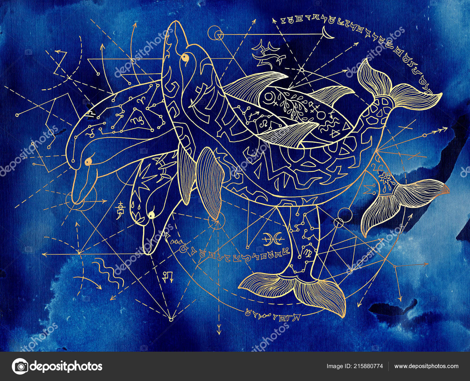 幾何学的な線と青色の背景に つのゴールデン イルカ 難解なオカルト 新しい時代やウィッカ概念 神秘的なシンボルと神聖な幾何学のファンタジー イラスト ストック写真 C Samiramay