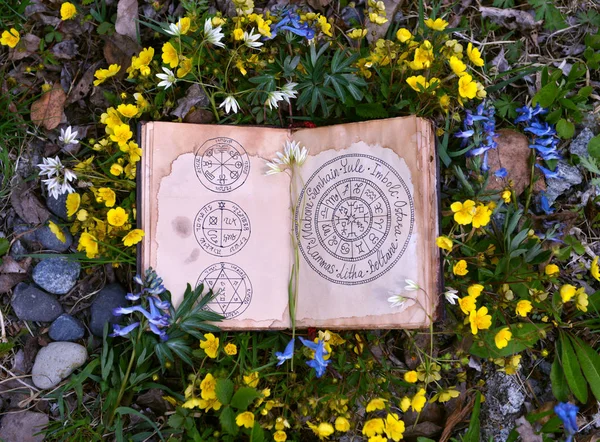 Open book with wiccan festivals and magic charts in grass and flowers.