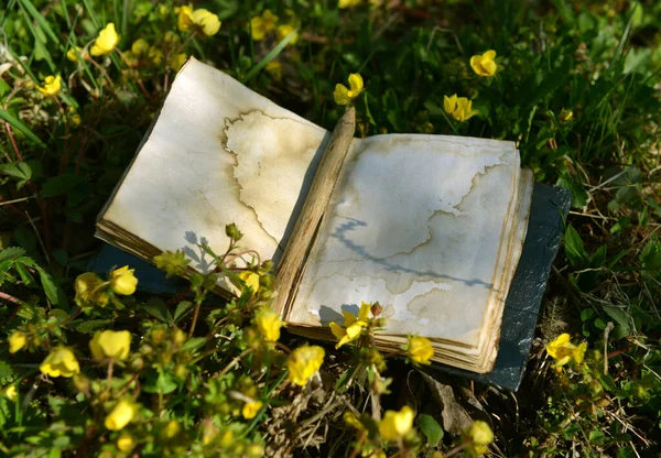 Open diary book with empty pages on the grass in the garden. Esoteric, gothic and occult background with magic objects, mystic and fairy tale concept